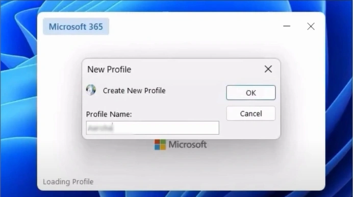 Provide a new profile nam