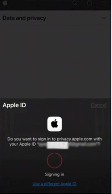 Sign in with your Apple ID